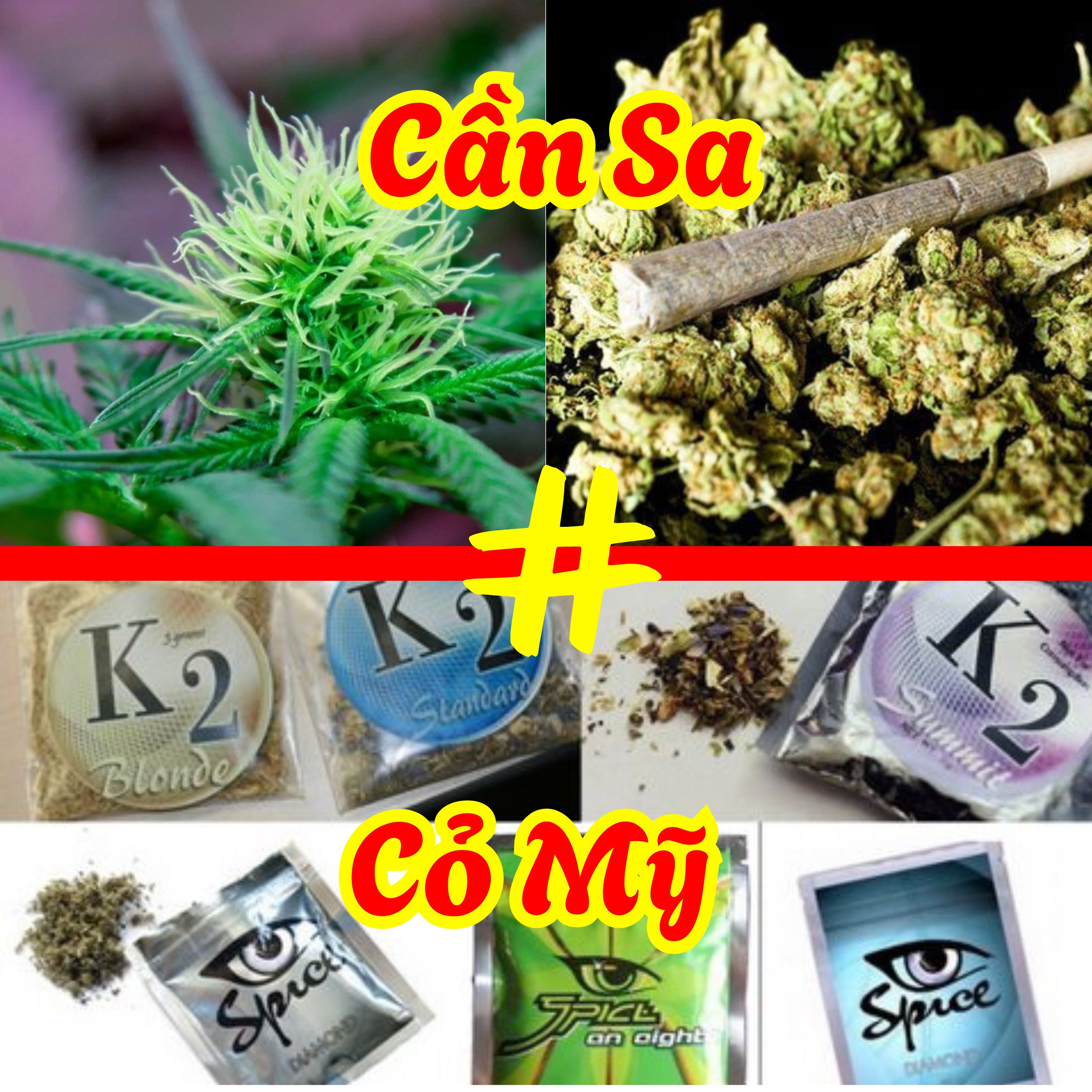 Cần Sa và Cỏ Mỹ có phải là một không?